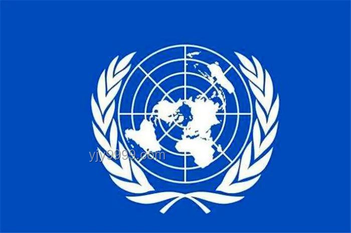 联合国决议投票对比：美国否决权与中方立场